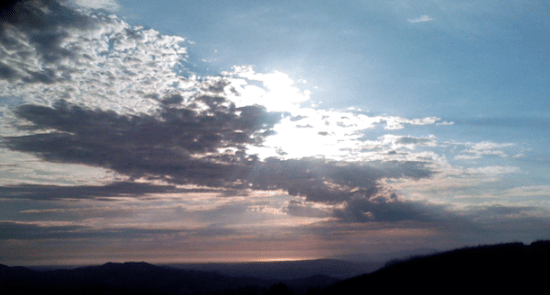 Picture_115 Picture_115