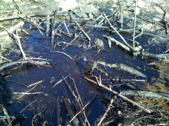 Bubblingoil Bubblingoil