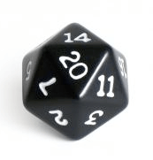 D20 D20