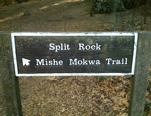 Mishemokwasign
