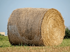 Haystack