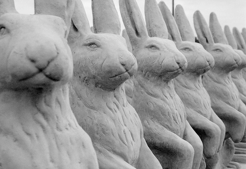 Rascallyrepeatingrabbits Rascallyrepeatingrabbits