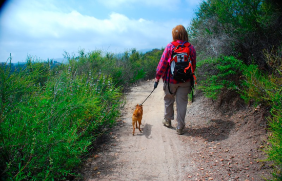 Lizandthor Lizandthor