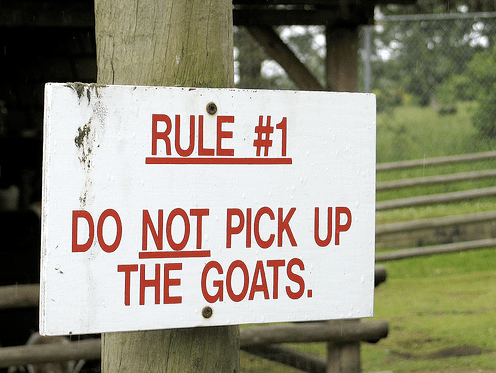 Goatwarning