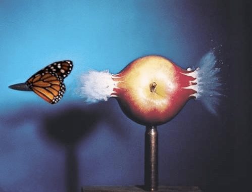 Butterflybullet Butterflybullet