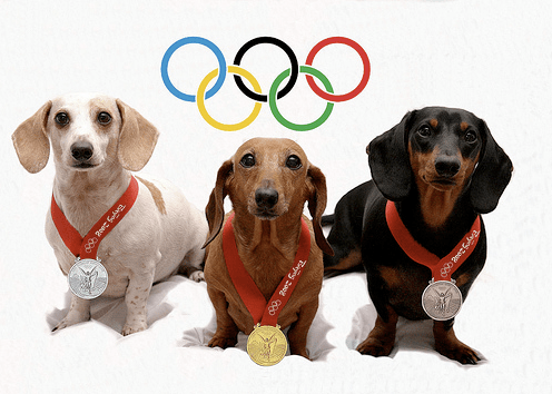 Dogolympics