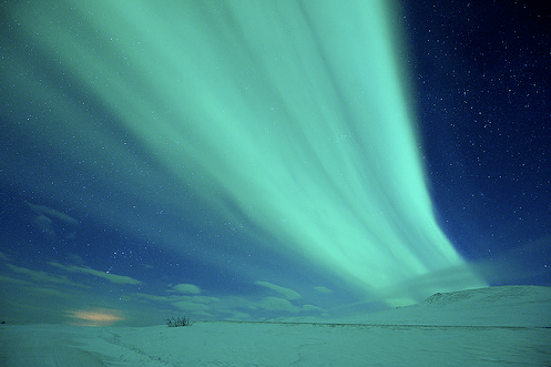 Alaskaaurora Alaskaaurora