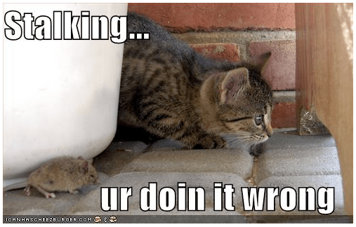 Stalking