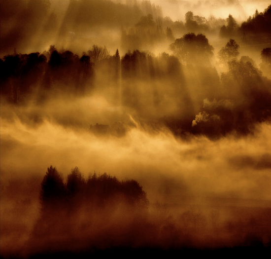 Marcinsacha1 Marcinsacha1