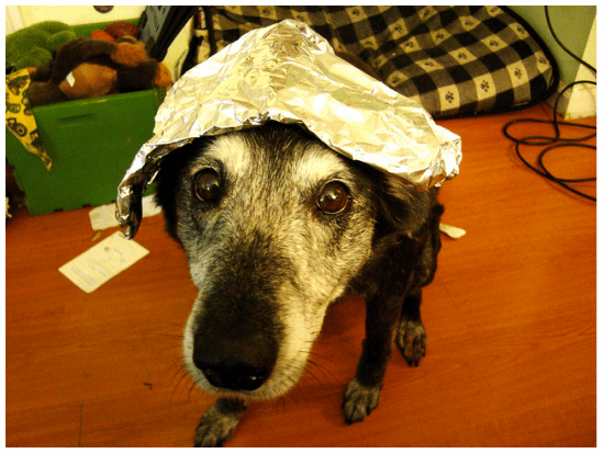 Tinfoildog