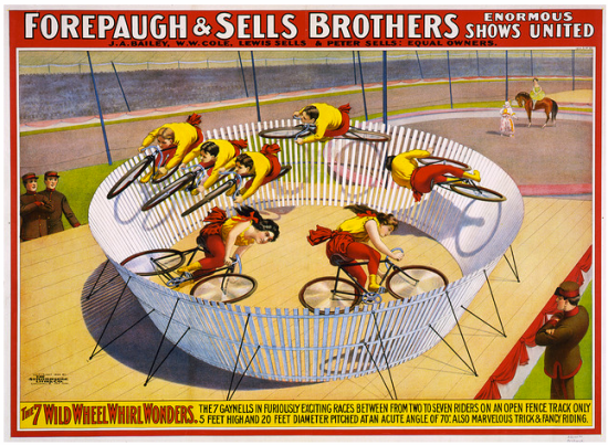 Wildwheelwonders Wildwheelwonders