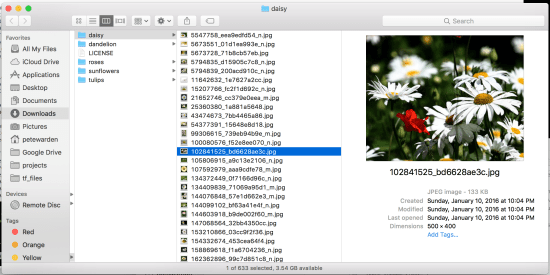 Screen Shot 2017-04-26 at 12.33.36 PM.png
