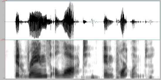 waveform.png